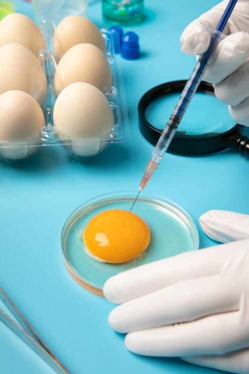 提取雞蛋食品安全農(nóng)業(yè)科技食品培育攝影圖 插畫 下載至來源處